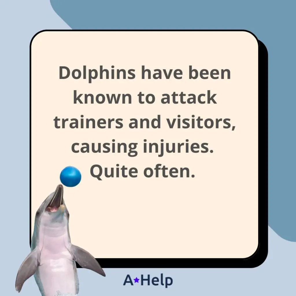 do dolphins attack humans