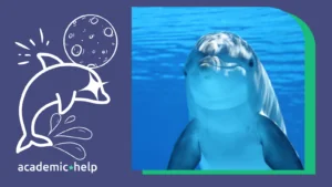 A*Helpful Fact: We Should Stop Asking are Dolphins Dangerous and Start Asking Why They Might Be